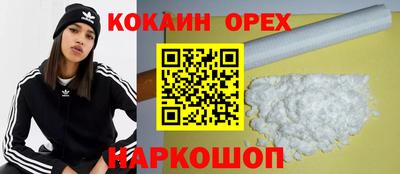 МДПВ Кингисепп