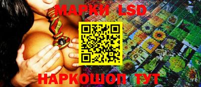 МДПВ Кингисепп