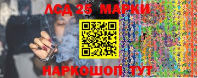 МДПВ Кингисепп
