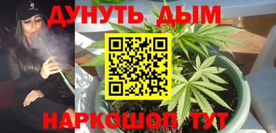дмт Кинель