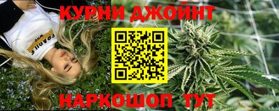 МДПВ Кингисепп