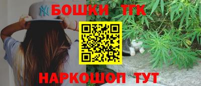 МДПВ Кингисепп