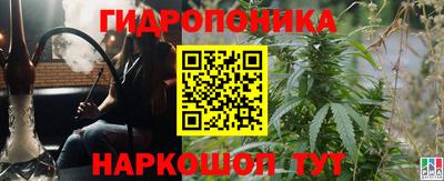 МДПВ Кингисепп