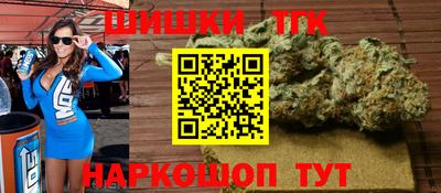 МДПВ Кингисепп