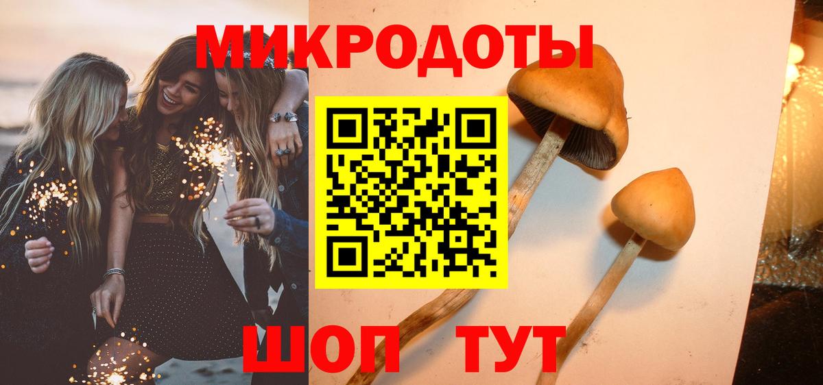 Красноармейск  Галлюциногенные грибы мухоморы  Галлюциногенные грибы MAGIC MUSHROOMS  Вход с VPN 